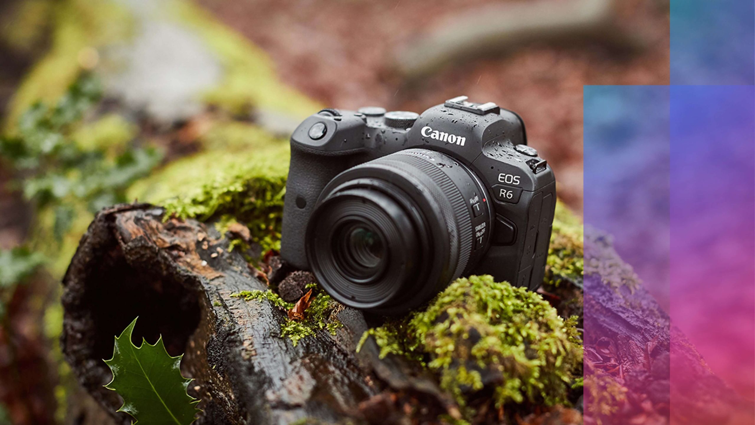 Máy Canon Quay Phim Đẹp R50